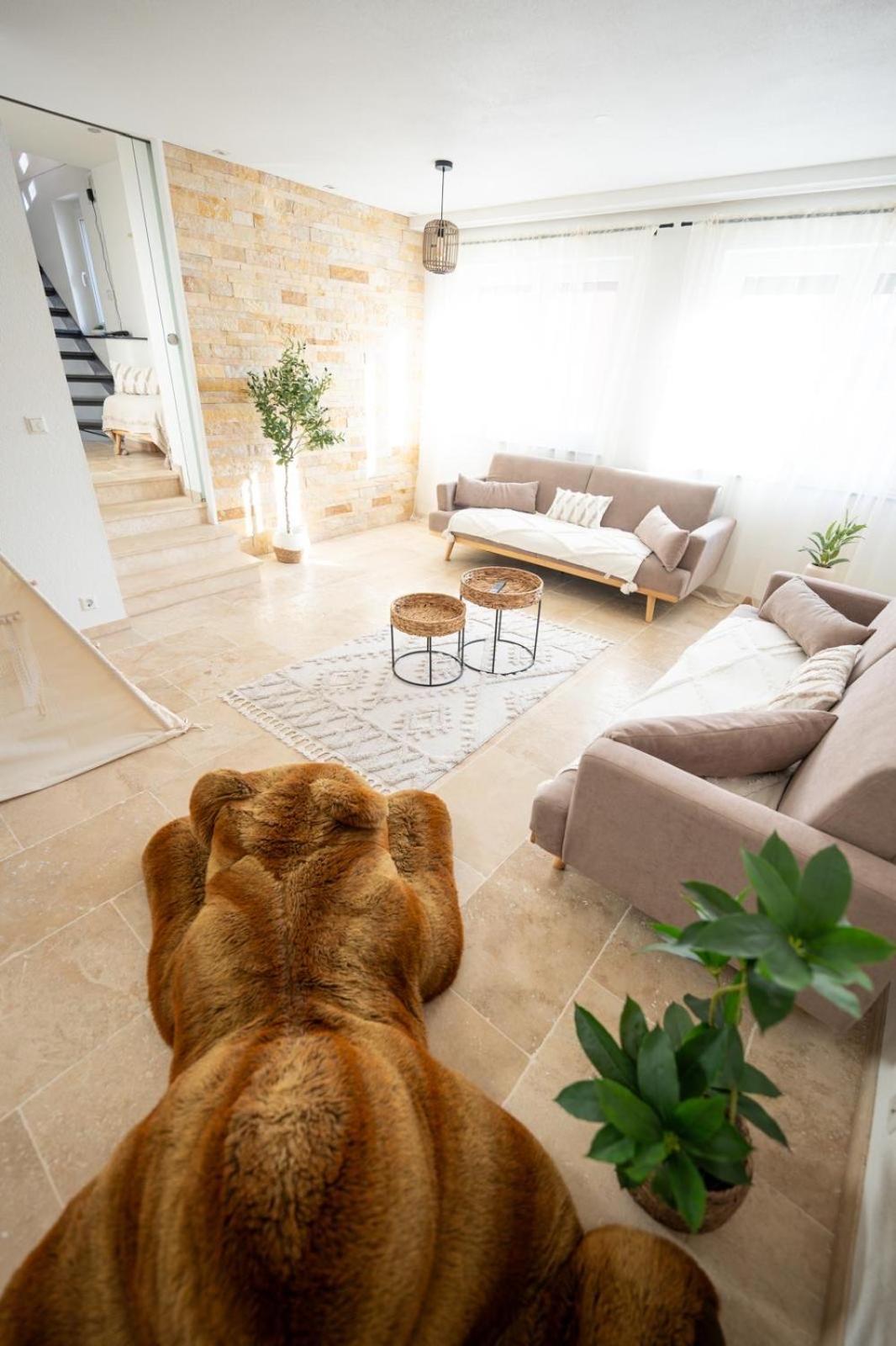 -Stadthaus Ida- Mit Grosser Dachterasse, Am Schlosspark, Luftkurort Kisslegg, Boxspringbetten, Kaffeevollautomat, Smarttv, Familienfreundlich, Grosszuegig, Zentral Bagian luar foto